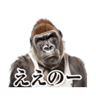 【ツッコミ】関西弁ゴリラ（個別スタンプ：16）