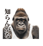 【ツッコミ】関西弁ゴリラ（個別スタンプ：22）