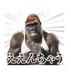 【ツッコミ】関西弁ゴリラ（個別スタンプ：24）