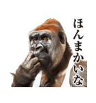 【ツッコミ】関西弁ゴリラ（個別スタンプ：26）