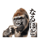 【ツッコミ】関西弁ゴリラ（個別スタンプ：33）