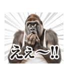 【ツッコミ】関西弁ゴリラ（個別スタンプ：37）