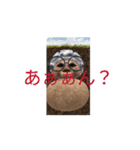 ちあきクラフトショート（個別スタンプ：8）