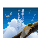 【飛び出し動く 暑中見舞い 夏 サマー】（個別スタンプ：11）
