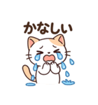 にゃんちゅのゆるかわスタンプ①（個別スタンプ：25）