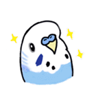 インコのぴーちゃん（と時々キューちゃん）（個別スタンプ：1）