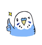 インコのぴーちゃん（と時々キューちゃん）（個別スタンプ：4）