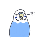 インコのぴーちゃん（と時々キューちゃん）（個別スタンプ：5）