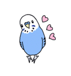 インコのぴーちゃん（と時々キューちゃん）（個別スタンプ：6）