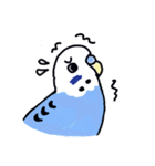 インコのぴーちゃん（と時々キューちゃん）（個別スタンプ：7）