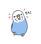 インコのぴーちゃん（と時々キューちゃん）（個別スタンプ：11）