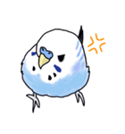 インコのぴーちゃん（と時々キューちゃん）（個別スタンプ：12）