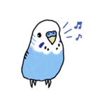 インコのぴーちゃん（と時々キューちゃん）（個別スタンプ：13）