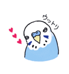 インコのぴーちゃん（と時々キューちゃん）（個別スタンプ：14）