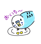 インコのぴーちゃん（と時々キューちゃん）（個別スタンプ：16）