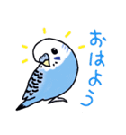 インコのぴーちゃん（と時々キューちゃん）（個別スタンプ：24）