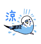 インコのぴーちゃん（と時々キューちゃん）（個別スタンプ：25）