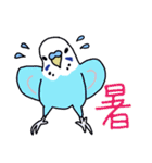 インコのぴーちゃん（と時々キューちゃん）（個別スタンプ：26）