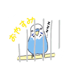 インコのぴーちゃん（と時々キューちゃん）（個別スタンプ：28）