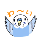 インコのぴーちゃん（と時々キューちゃん）（個別スタンプ：29）