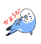 インコのぴーちゃん（と時々キューちゃん）（個別スタンプ：32）