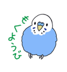 インコのぴーちゃん（と時々キューちゃん）（個別スタンプ：34）