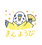 インコのぴーちゃん（と時々キューちゃん）（個別スタンプ：35）