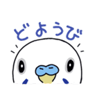 インコのぴーちゃん（と時々キューちゃん）（個別スタンプ：36）
