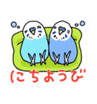 インコのぴーちゃん（と時々キューちゃん）（個別スタンプ：37）