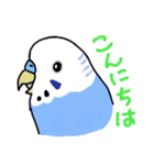 インコのぴーちゃん（と時々キューちゃん）（個別スタンプ：39）