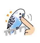 インコのぴーちゃん（と時々キューちゃん）（個別スタンプ：40）