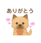 ケアンテリア｜わんこの毎日（個別スタンプ：1）