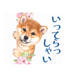 水彩感じる柴犬スタンプ（個別スタンプ：6）