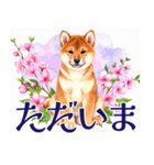 水彩感じる柴犬スタンプ（個別スタンプ：7）