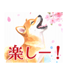 水彩感じる柴犬スタンプ（個別スタンプ：11）