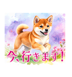 水彩感じる柴犬スタンプ（個別スタンプ：12）