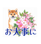 水彩感じる柴犬スタンプ（個別スタンプ：15）