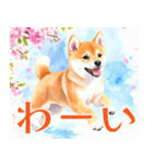 水彩感じる柴犬スタンプ（個別スタンプ：16）