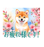 水彩感じる柴犬スタンプ（個別スタンプ：17）