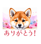 水彩感じる柴犬スタンプ（個別スタンプ：19）