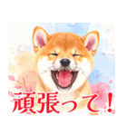 水彩感じる柴犬スタンプ（個別スタンプ：20）