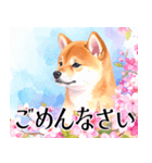 水彩感じる柴犬スタンプ（個別スタンプ：22）