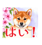 水彩感じる柴犬スタンプ（個別スタンプ：23）