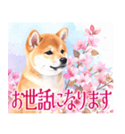 水彩感じる柴犬スタンプ（個別スタンプ：26）