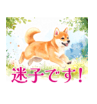 水彩感じる柴犬スタンプ（個別スタンプ：28）