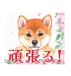 水彩感じる柴犬スタンプ（個別スタンプ：30）