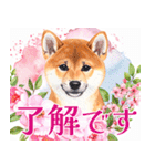 水彩感じる柴犬スタンプ（個別スタンプ：31）
