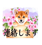 水彩感じる柴犬スタンプ（個別スタンプ：32）