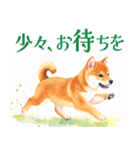 水彩感じる柴犬スタンプ（個別スタンプ：38）