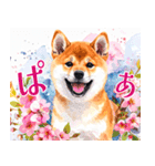 水彩感じる柴犬スタンプ（個別スタンプ：39）